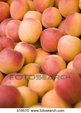 peaches View Large Photo Image Stock Image - peaches. Fotosearch