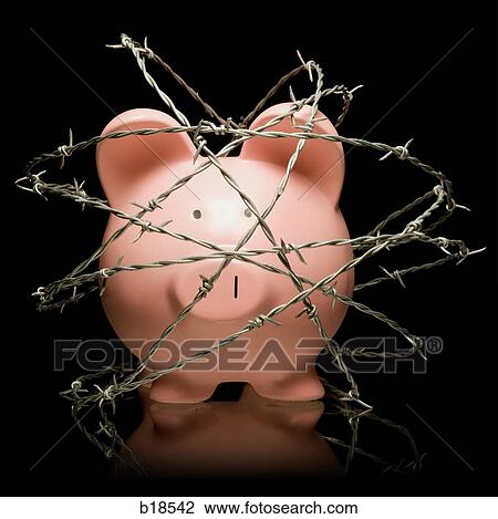 Piggy bank surrounded by barbed wire. View Large Photo Image Stock Image - Piggy bank surrounded by barbed wire.. Fotosearch