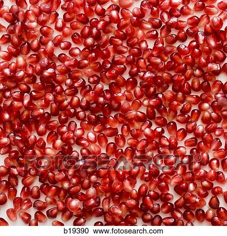 pomegranate seeds View Large Photo Image Stock Image - pomegranate seeds. Fotosearch