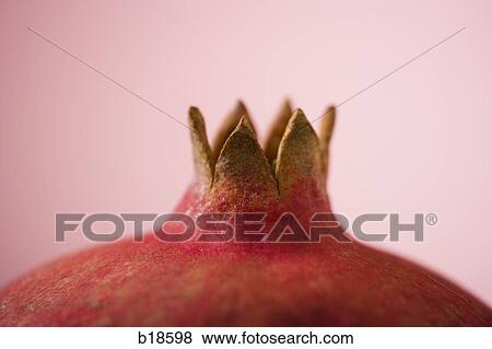 Pomegranate. View Large Photo Image Stock Photo - Pomegranate.. Fotosearch