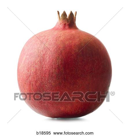 Pomegranate. View Large Photo Image Stock Photography - Pomegranate.. Fotosearch