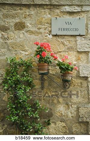 Potted flowers against a wall on an Italian street. View Large Photo Image Stock Photo - Potted flowers against a wall on an Italian street.. Fotosearch