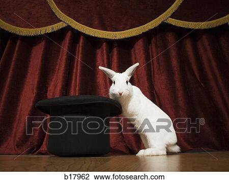 Rabbit in a hat. View Large Photo Image Stock Image - Rabbit in a hat.. Fotosearch