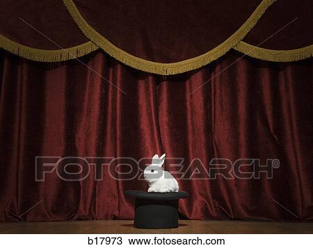 Rabbit in a hat. View Large Photo Image Stock Image - Rabbit in a hat.. Fotosearch