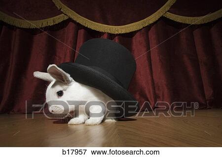 Stock Photo - Rabbit in a hat.. Fotosearch