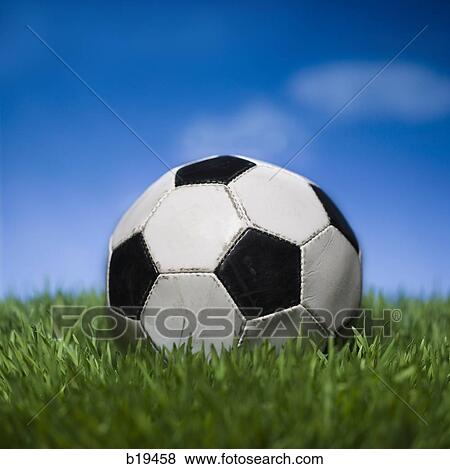 soccer ball View Large Photo Image Stock Photo - soccer ball. Fotosearch