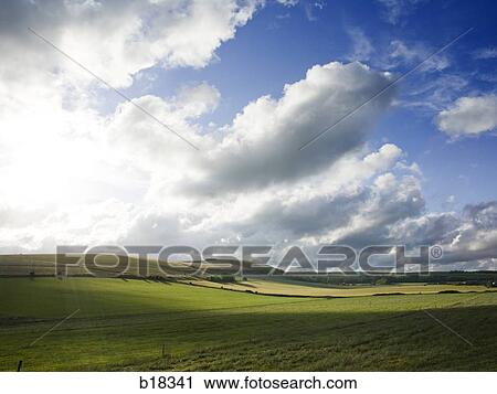 Sunlight over a pasture. View Large Photo Image Stock Image - Sunlight over a pasture.. Fotosearch