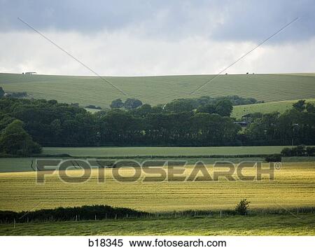 Stock Photography - Sunlight over a pasture.. Fotosearch