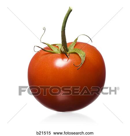 tomato View Large Photo Image Stock Photography - tomato. Fotosearch