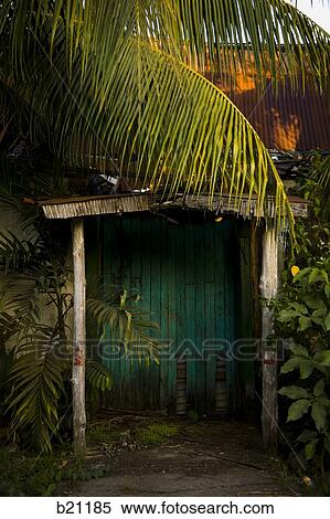 Stock Photography - tropical doorway. Fotosearch