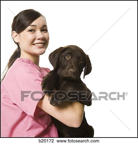 veterinary technician View Large Photo Image Stock Image - veterinary technician. Fotosearch