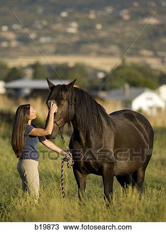 woman and a horse View Large Photo Image Stock Image - woman and a horse. Fotosearch