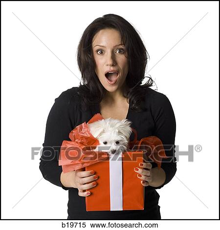 woman and puppy View Large Photo Image Stock Photography - woman and puppy. Fotosearch