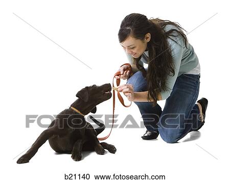 Stock Image - woman playing with dog. Fotosearch