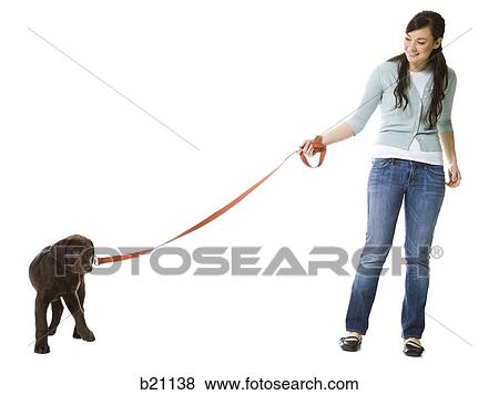 Stock Photo - woman walking dog. Fotosearch