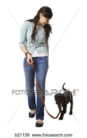 Stock Photo - woman walking dog. Fotosearch