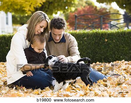 young family with a puppy View Large Photo Image Stock Image - young family with a puppy. Fotosearch