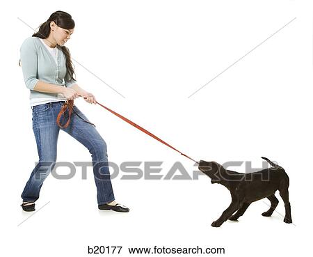 young woman with a brown puppy View Large Photo Image Stock Photo - young woman with a brown puppy. Fotosearch