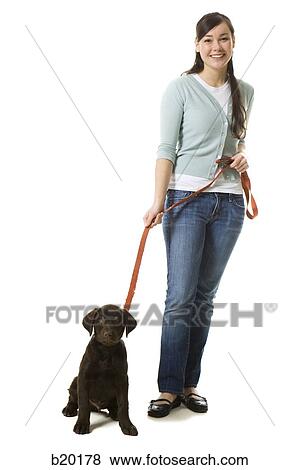 Stock Photo - young woman with a brown puppy. Fotosearch