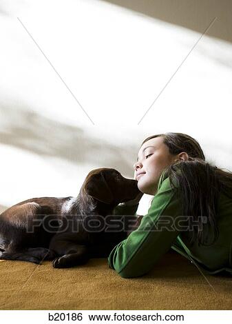 young woman with a brown puppy View Large Photo Image Stock Photograph - young woman with a brown puppy. Fotosearch