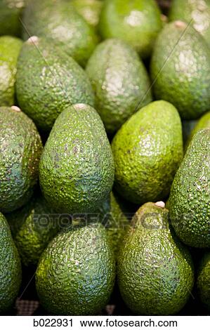 avocados View Large Photo Image Stock Image - avocados. Fotosearch
