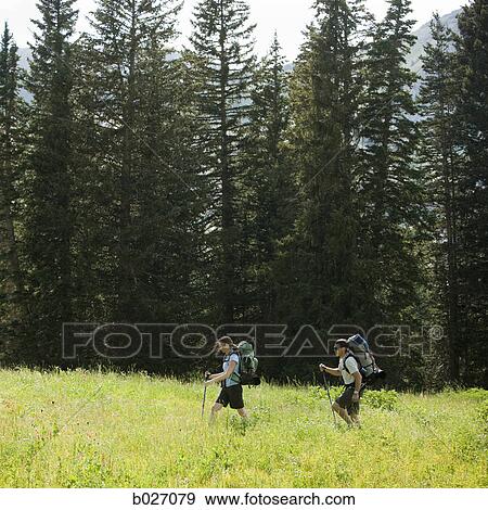 backpackers hiking through the wilderness View Large Photo Image Stock Photo - backpackers hiking through the wilderness. Fotosearch