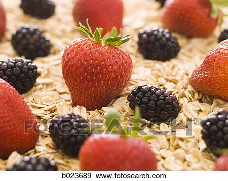 berries and oats View Large Photo Image Stock Photo - berries and oats. Fotosearch