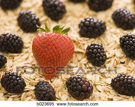 Stock Photography - berries and oats. Fotosearch