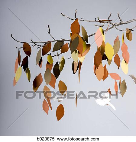 birds flying around a tree branch View Large Photo Image Stock Photography - birds flying around a tree branch. Fotosearch