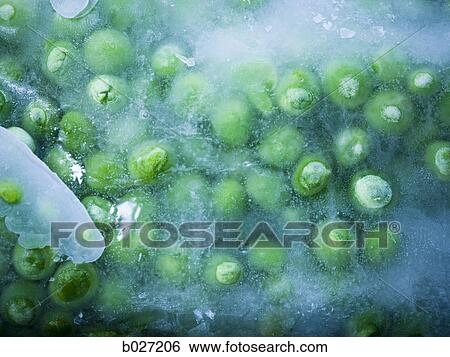 block of frozen peas View Large Photo Image Stock Photograph - block of frozen peas. Fotosearch