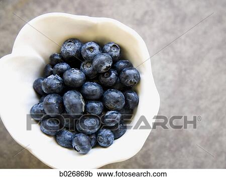 bowl of blueberries View Large Photo Image Stock Image - bowl of blueberries. Fotosearch