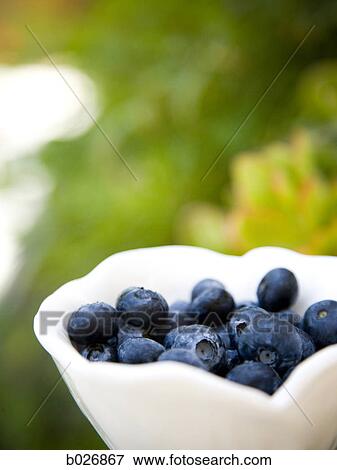 bowl of blueberries View Large Photo Image Stock Photo - bowl of blueberries. Fotosearch