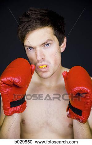 boxer View Large Photo Image Stock Image - boxer. Fotosearch