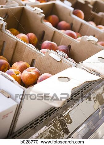 boxes of peaches View Large Photo Image Stock Image - boxes of peaches. Fotosearch