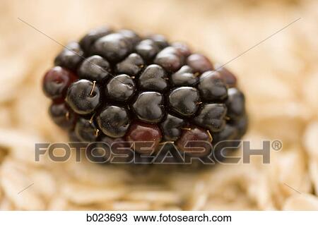 Stock Image - boysenberries and oats. Fotosearch