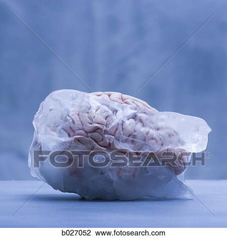 brain freeze View Large Photo Image Stock Image - brain freeze. Fotosearch