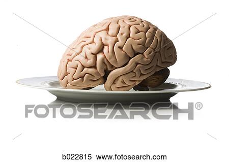 brain on a plate View Large Photo Image Stock Photography - brain on a plate. Fotosearch