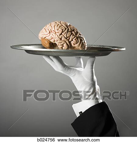 Stock Photograph - brain on a platter. Fotosearch