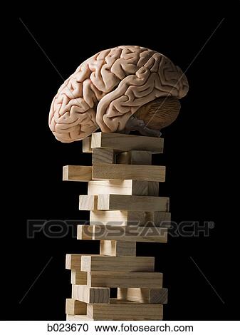 Stock Image - brain perched on a tower of blocks. Fotosearch