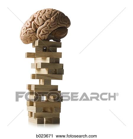 brain perched on a tower of blocks View Large Photo Image Stock Image - brain perched on a tower of blocks. Fotosearch