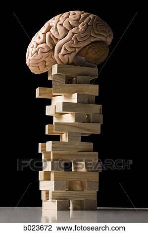 Stock Image - brain perched on a tower of blocks. Fotosearch
