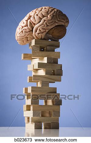 brain perched on a tower of blocks View Large Photo Image Stock Image - brain perched on a tower of blocks. Fotosearch