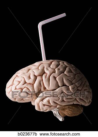 Stock Image - brain with a straw in it. Fotosearch