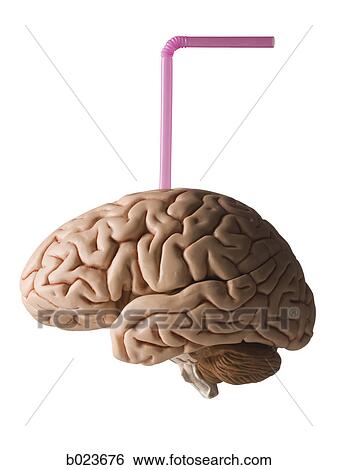 brain with a straw in it View Large Photo Image Stock Photograph - brain with a straw in it. Fotosearch