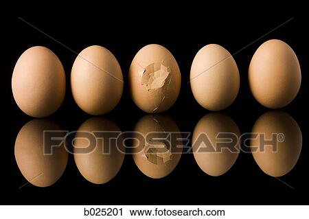 broken egg View Large Photo Image Stock Image - broken egg. Fotosearch