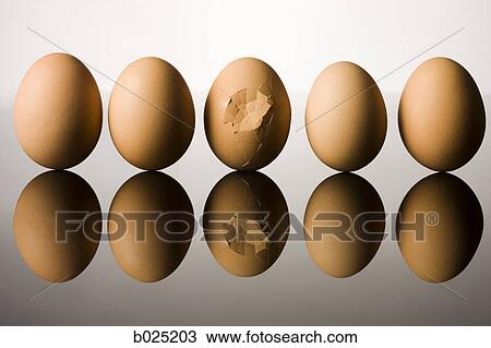 broken egg View Large Photo Image Stock Image - broken egg. Fotosearch