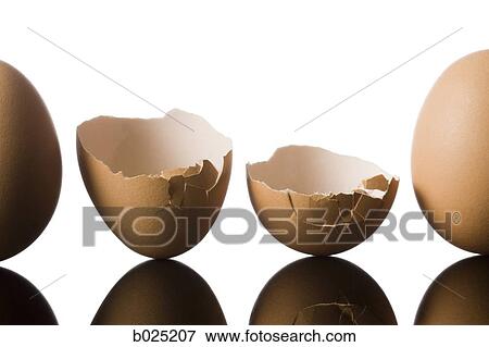 broken egg View Large Photo Image Stock Photo - broken egg. Fotosearch