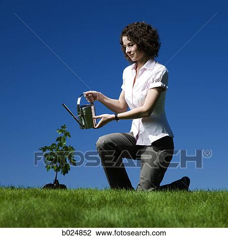 Stock Image - businesswoman with a watering can. Fotosearch
