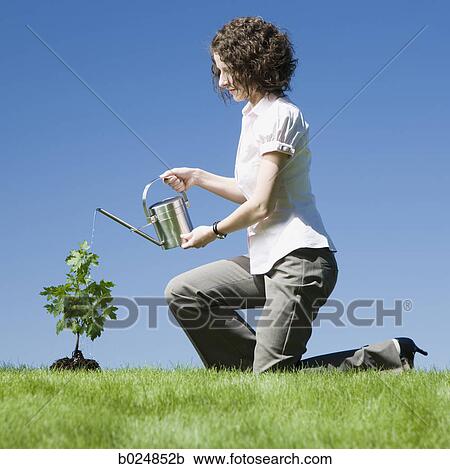Stock Image - businesswoman with a watering can. Fotosearch
