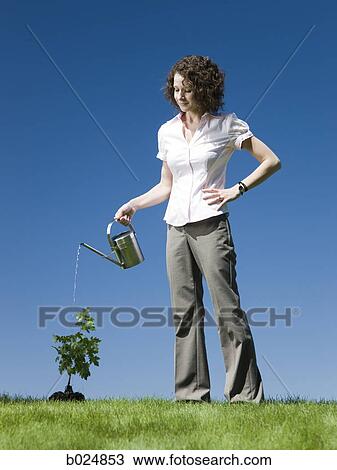 Stock Image - businesswoman with a watering can. Fotosearch